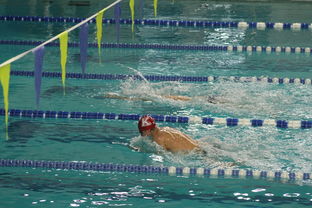 爱游戏在线娱乐官网-国际游泳精英赛中国队多人破纪录，国际游泳冠军系列赛