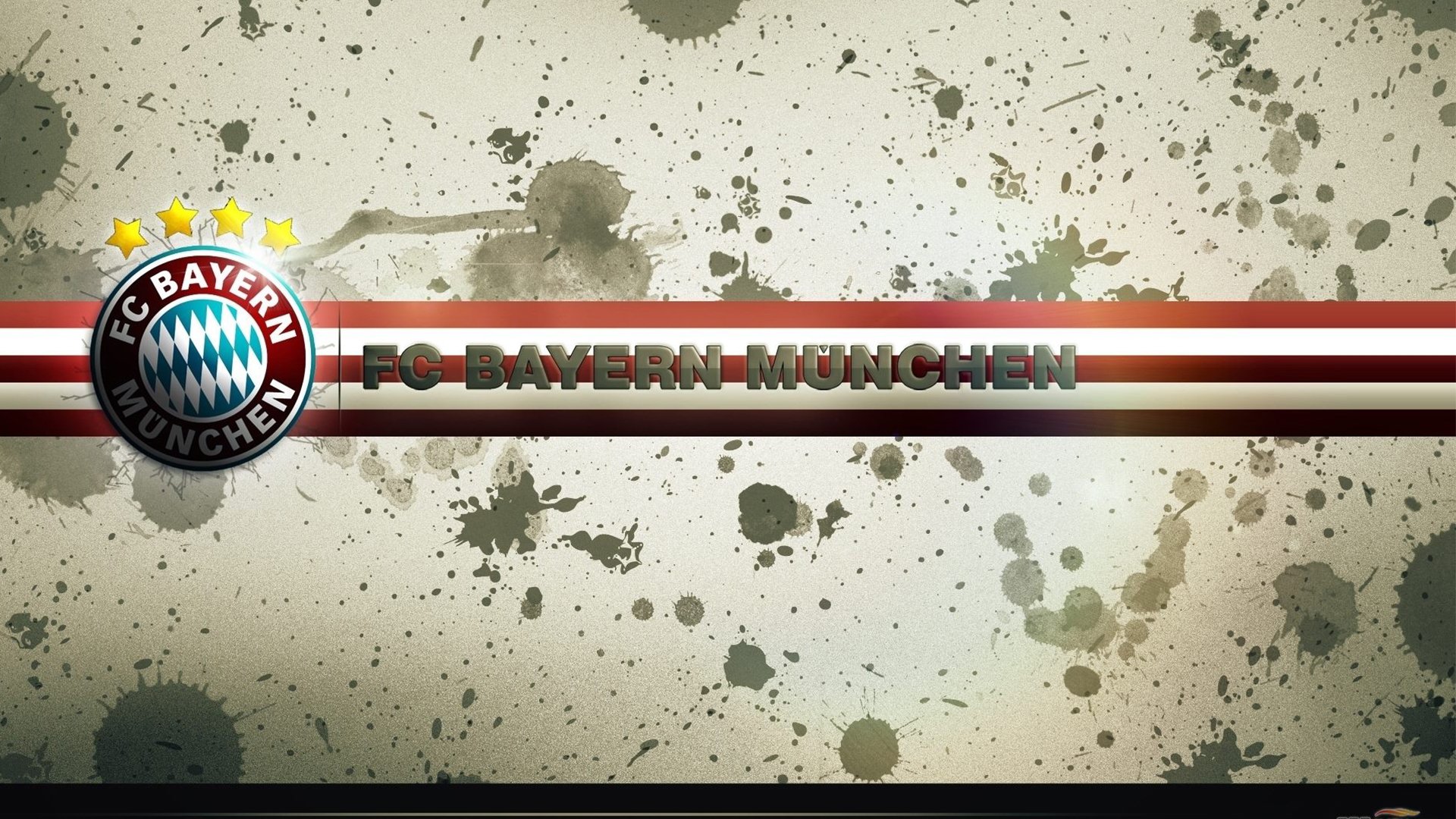 “重拳出击！四川省体育馆拳击赛场风云再起”